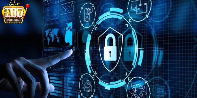 Điều khoản sử dụng thông tin cơ bản