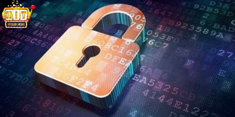 Phạm vi chính sách bảo mật thu thập thông tin